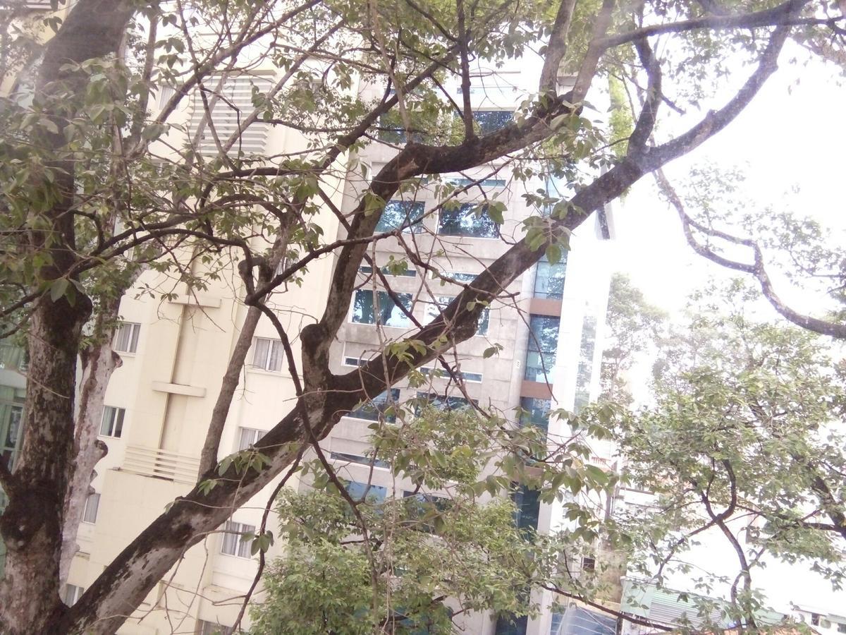 Fortune House Thao Dien Căn hộ *